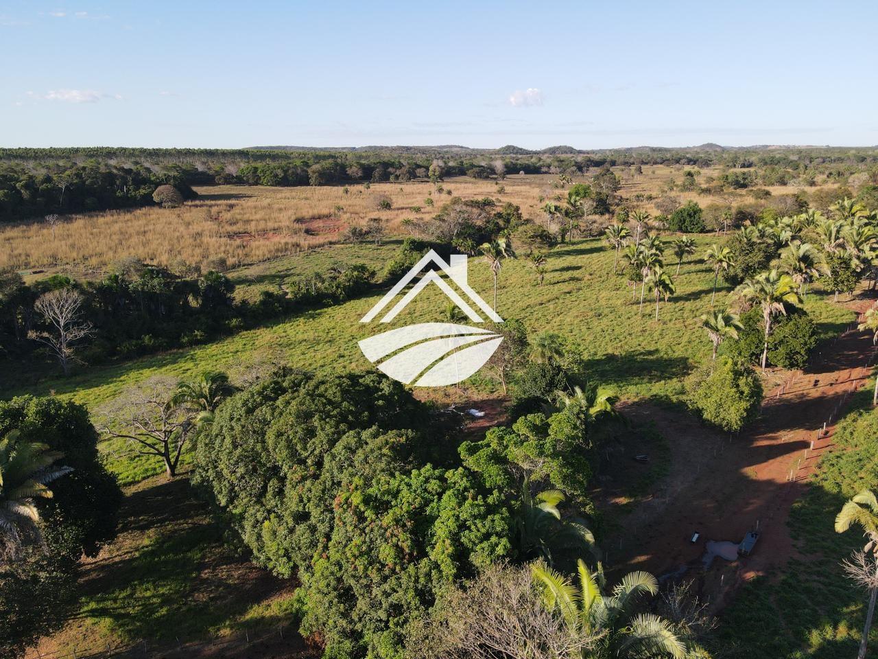 Fazenda, 193 hectares - Foto 14