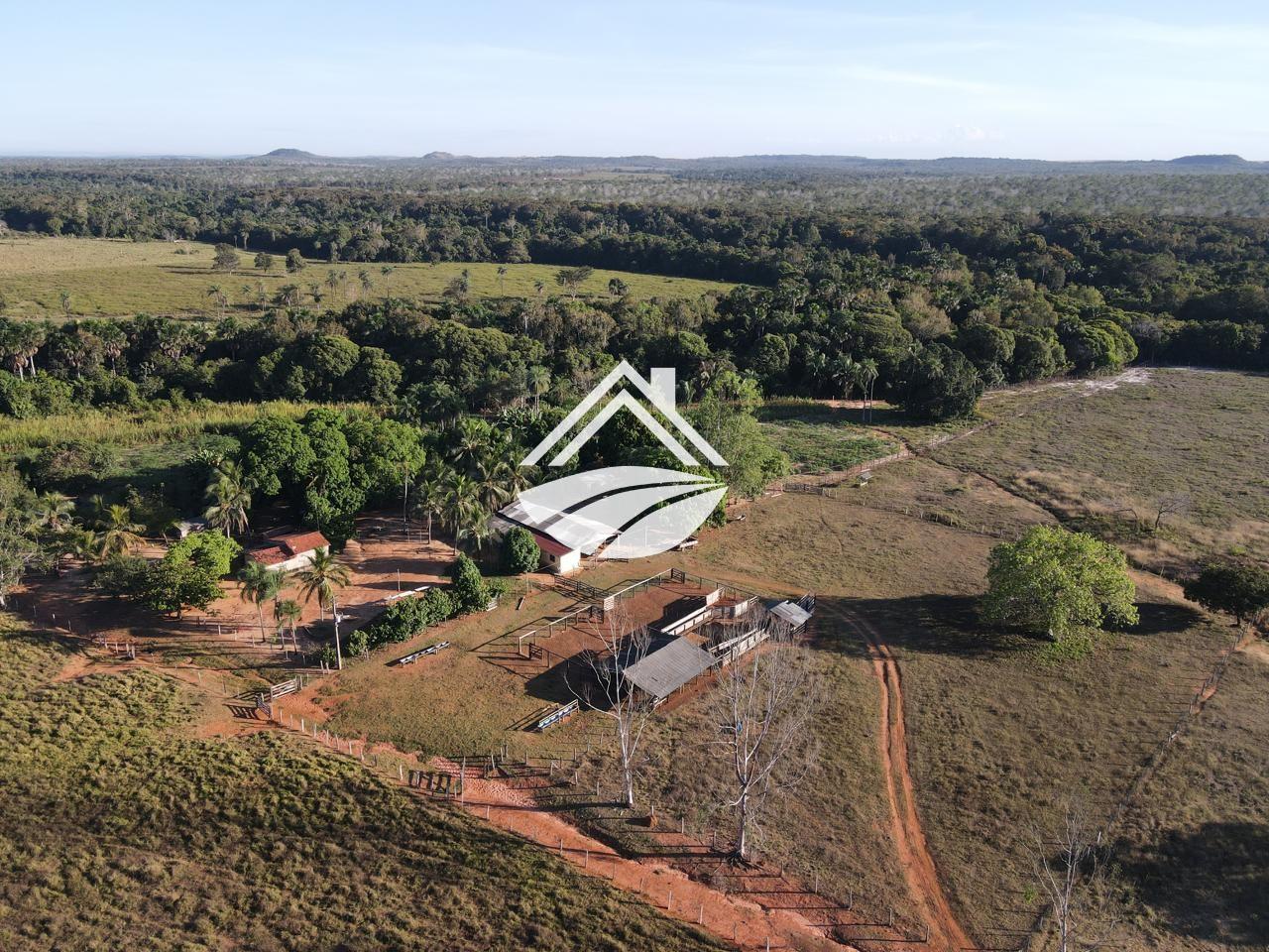 Fazenda, 193 hectares - Foto 1