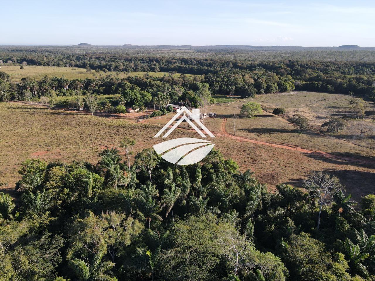 Fazenda, 193 hectares - Foto 15