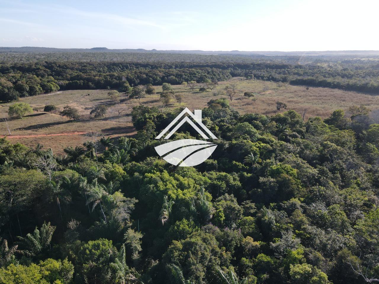 Fazenda, 193 hectares - Foto 16