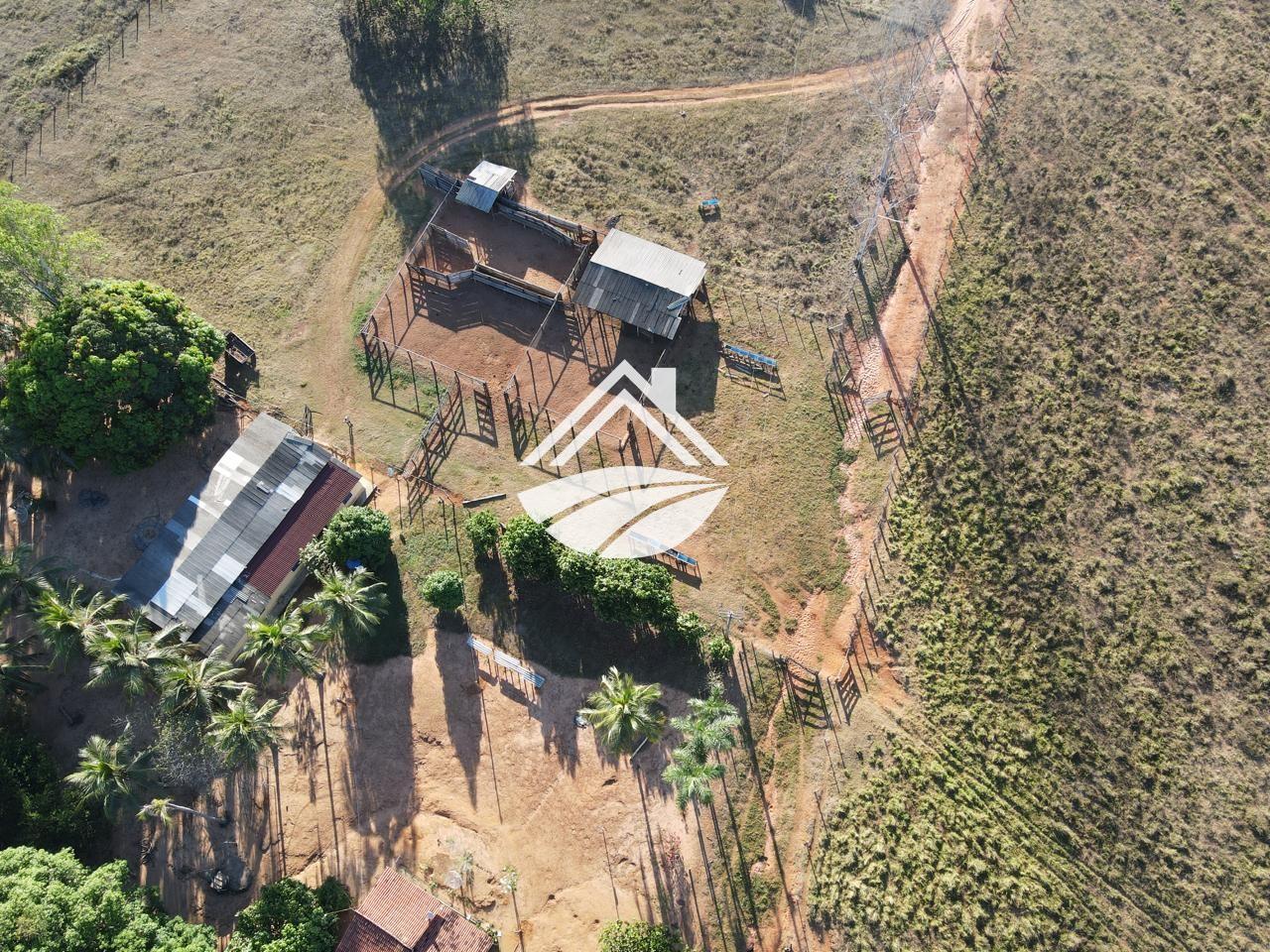 Fazenda, 193 hectares - Foto 4