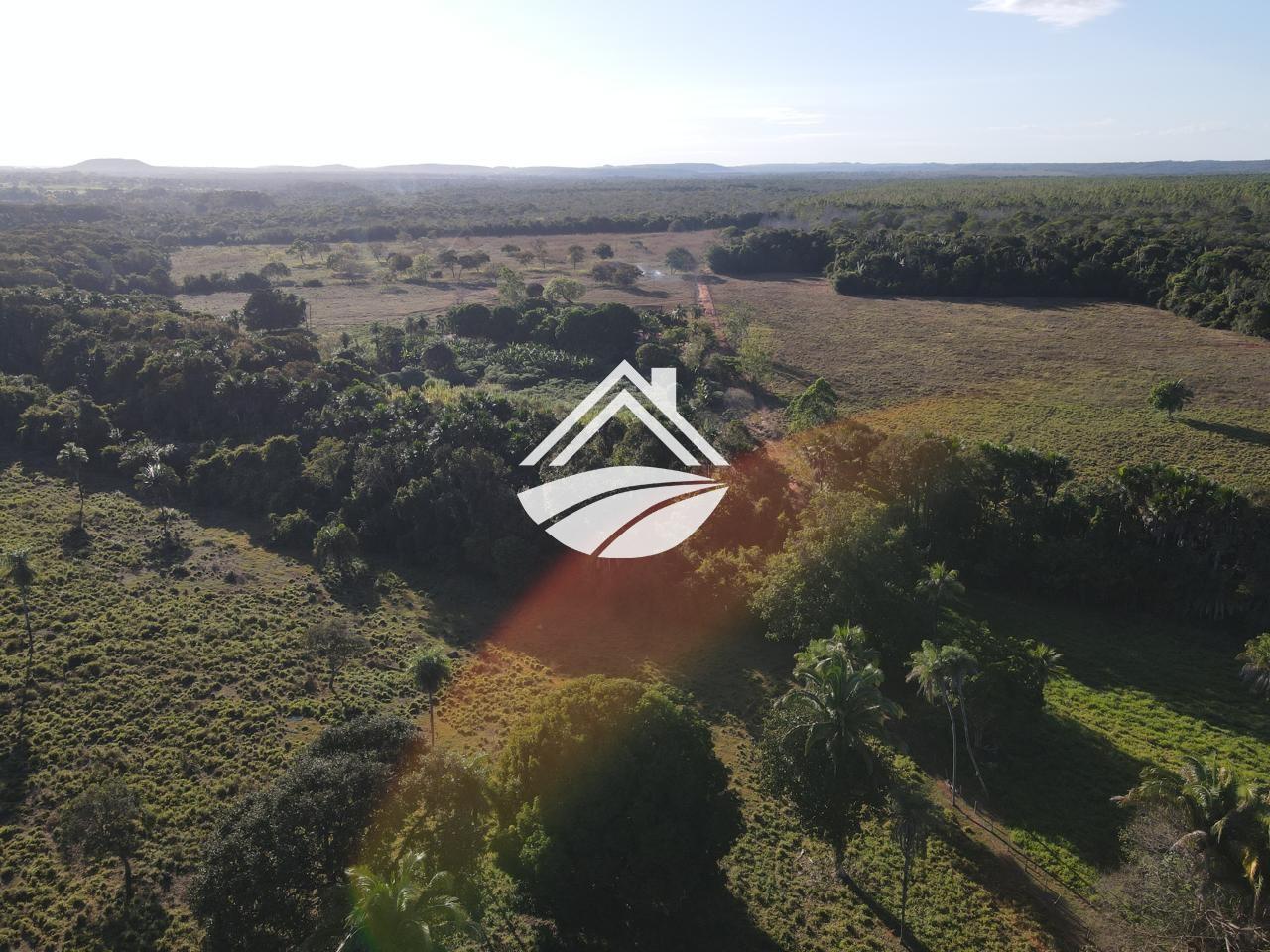 Fazenda, 193 hectares - Foto 18