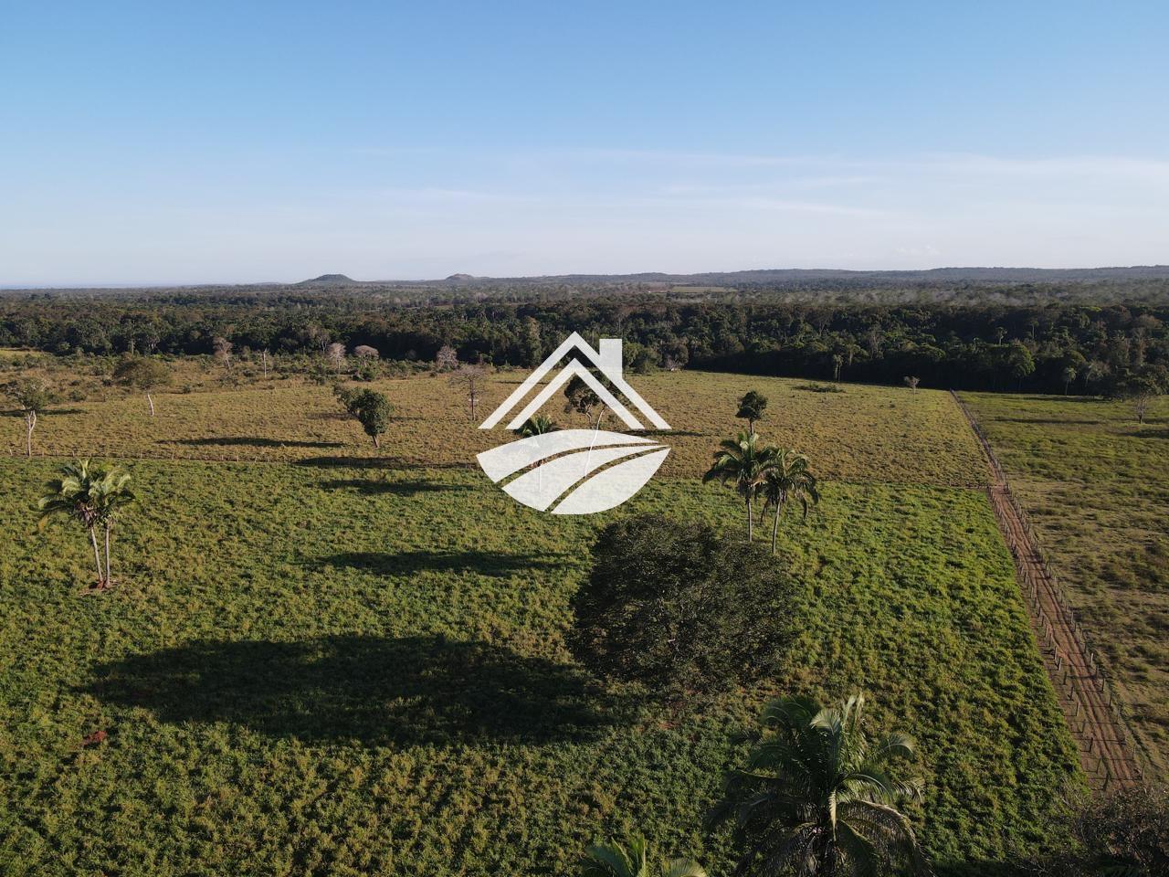 Fazenda, 193 hectares - Foto 3