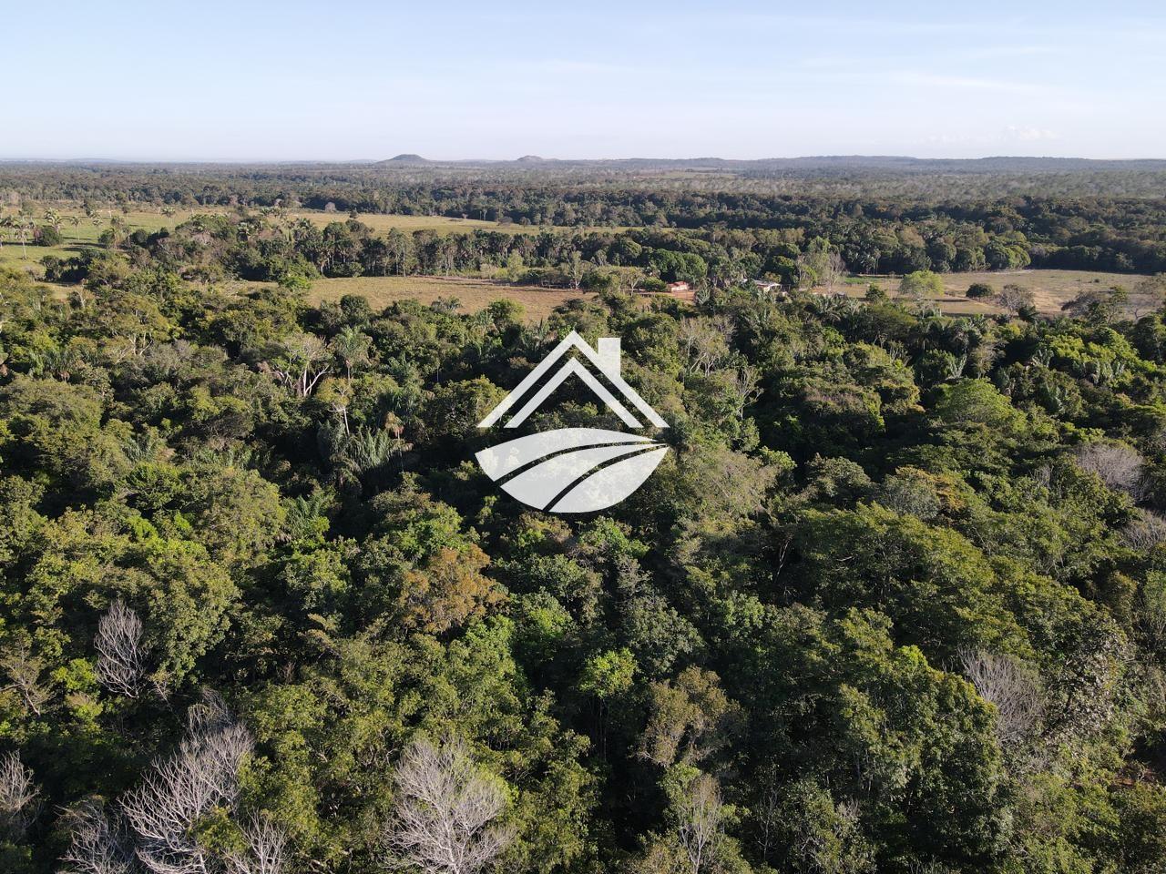 Fazenda, 193 hectares - Foto 19