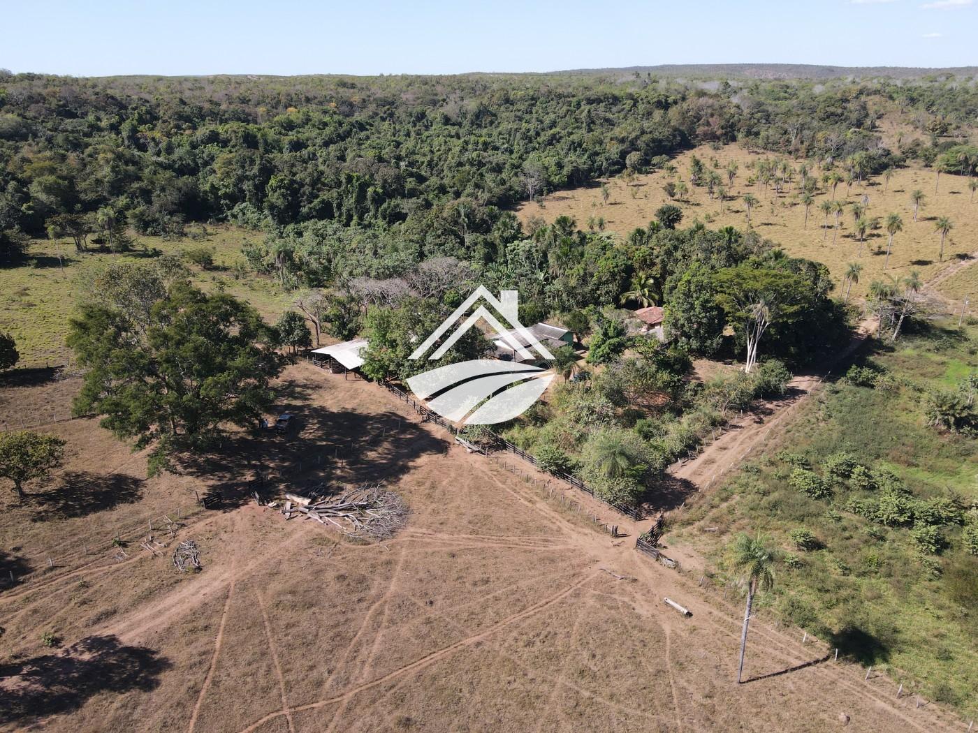 Fazenda, 45 hectares - Foto 1