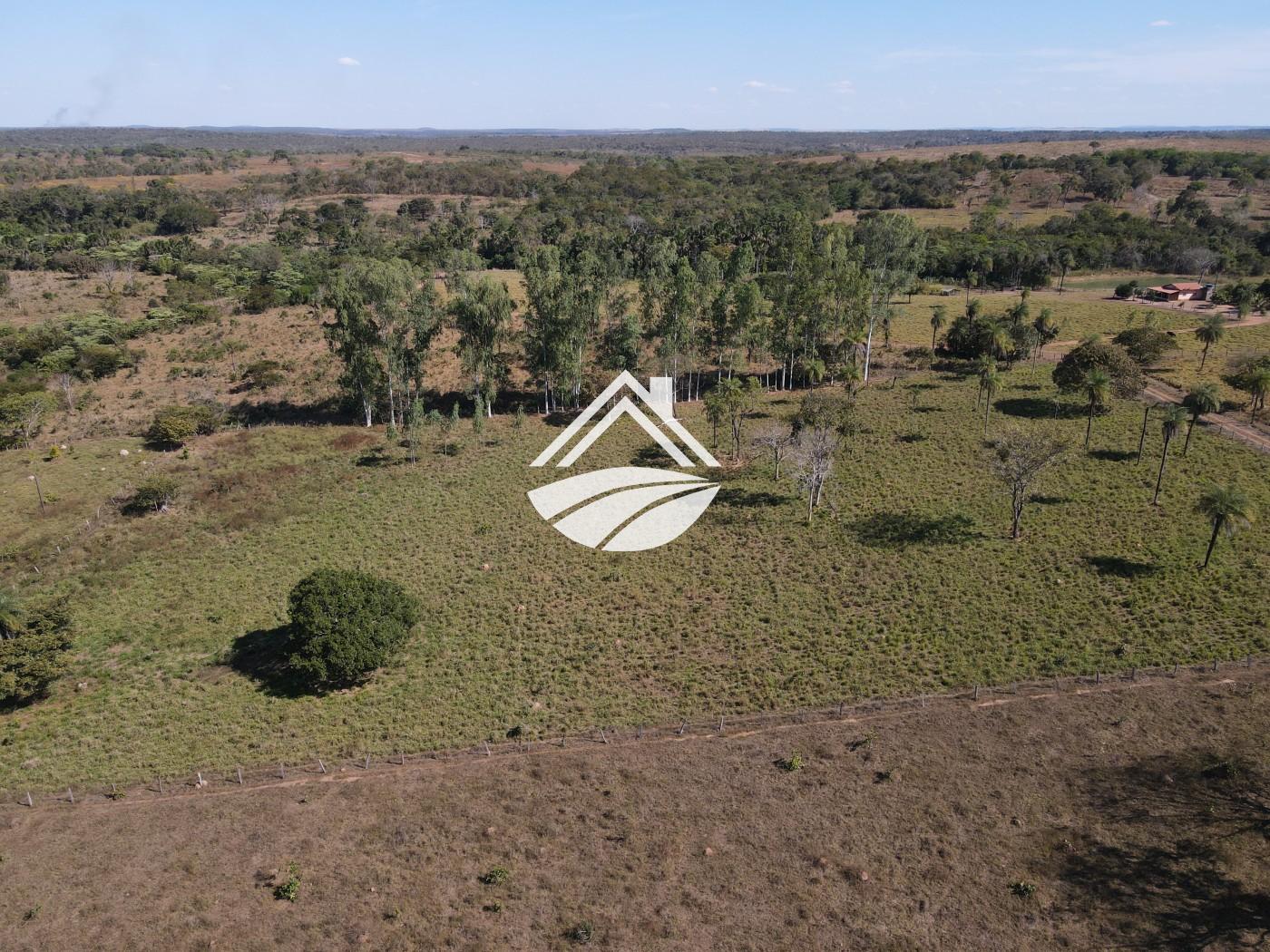 Fazenda, 45 hectares - Foto 7