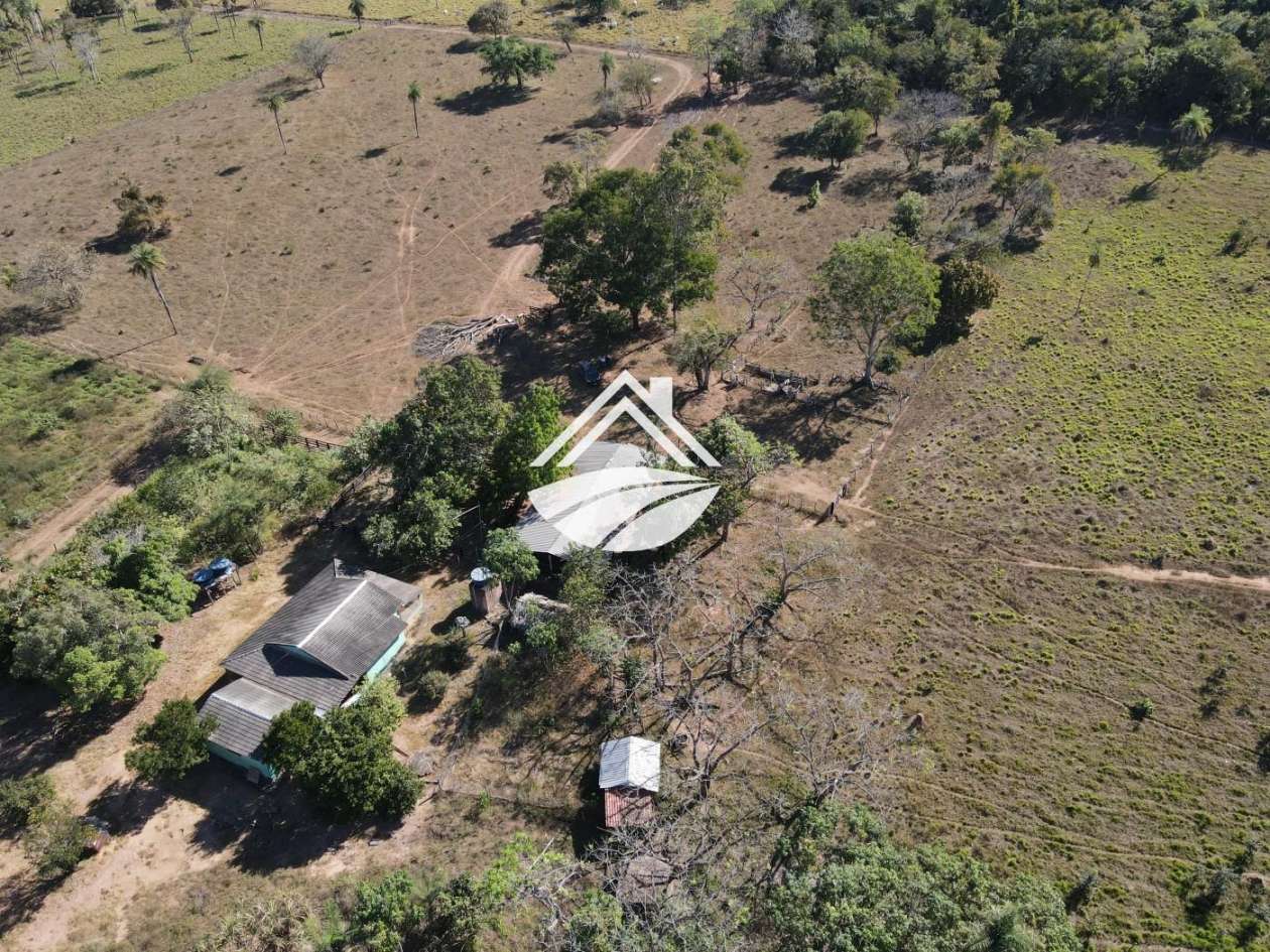 Fazenda, 45 hectares - Foto 13