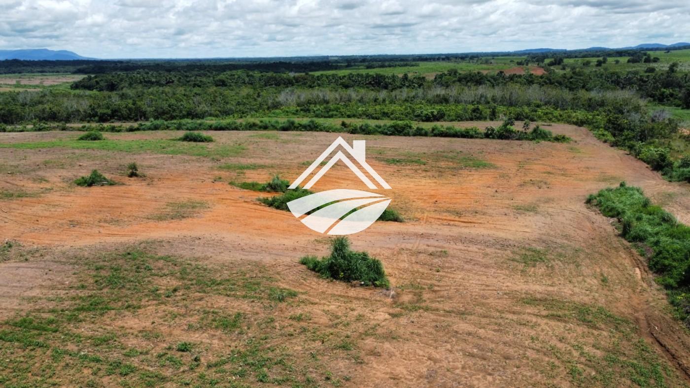 Fazenda, 1 m² - Foto 10