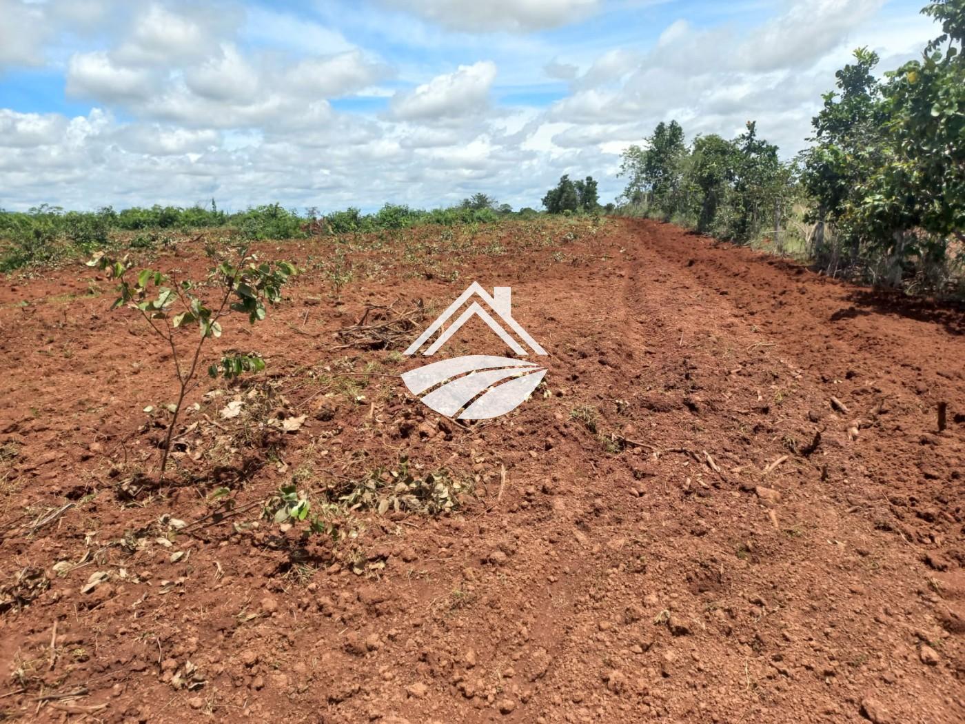 Fazenda, 1 m² - Foto 15