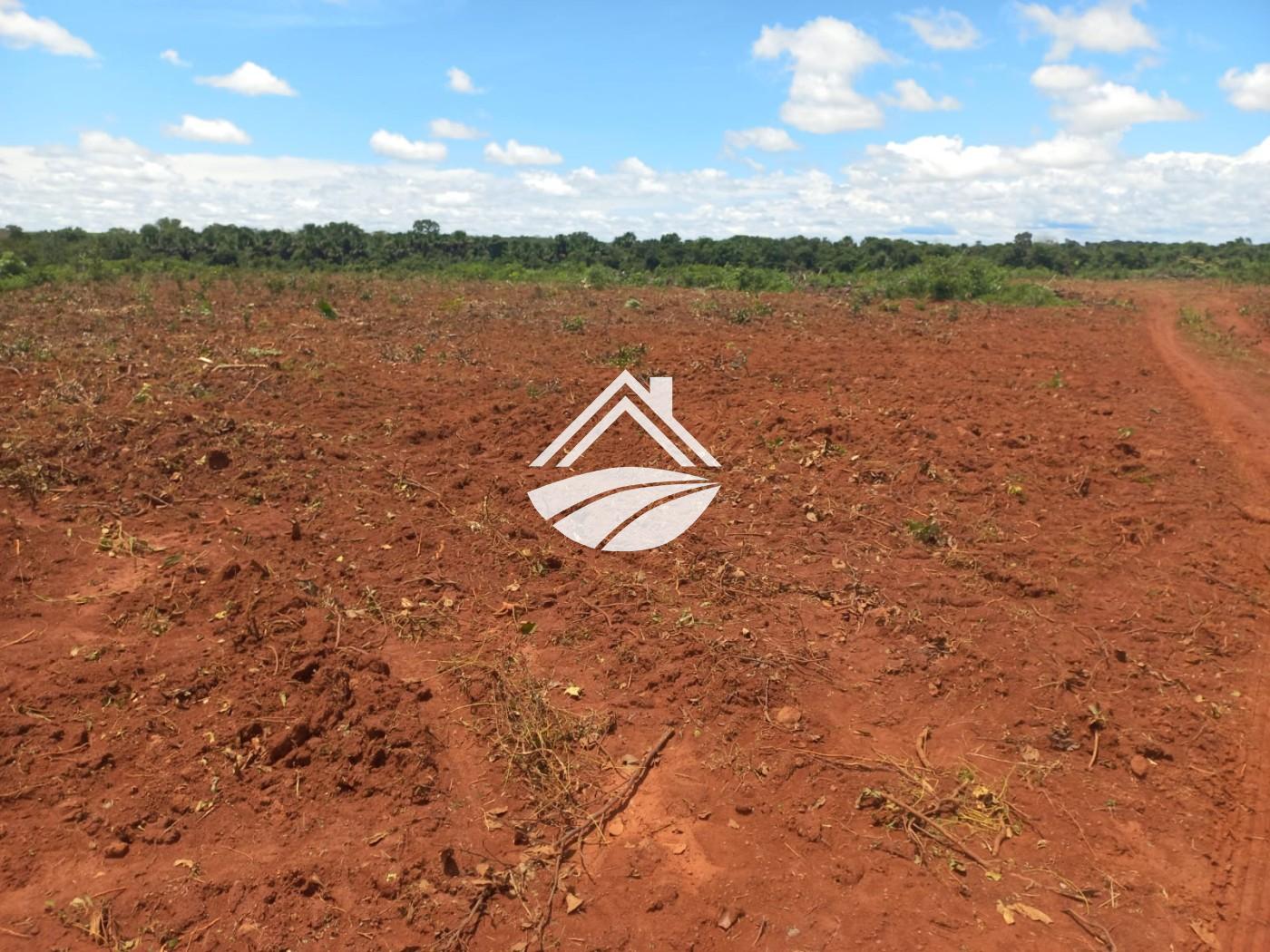 Fazenda, 1 m² - Foto 18