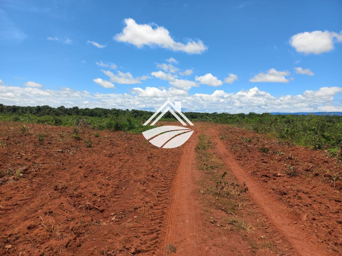 Fazenda, 1 m² - Foto 23