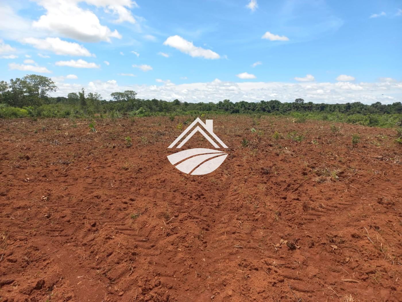 Fazenda, 1 m² - Foto 22