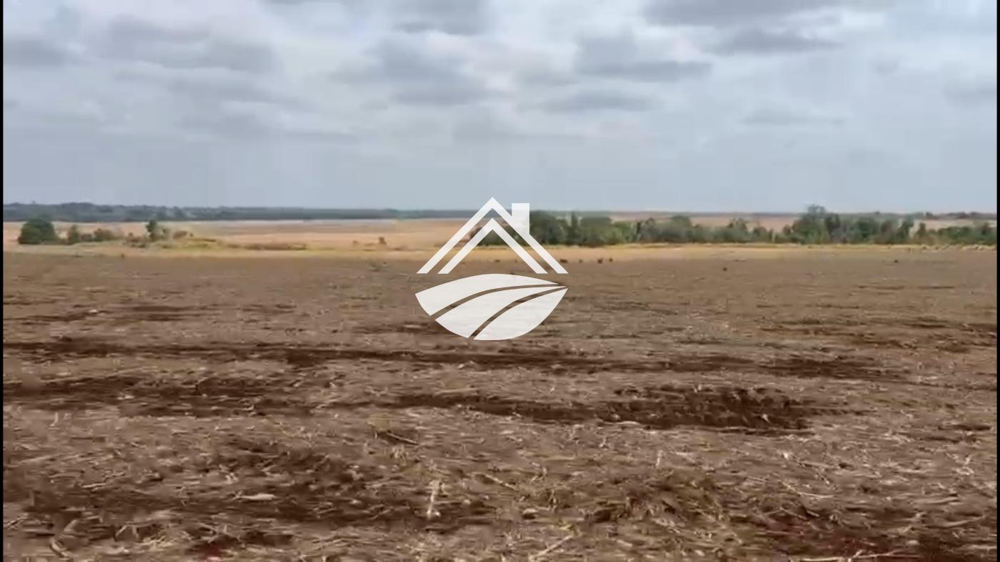 Fazenda, 1 m² - Foto 5