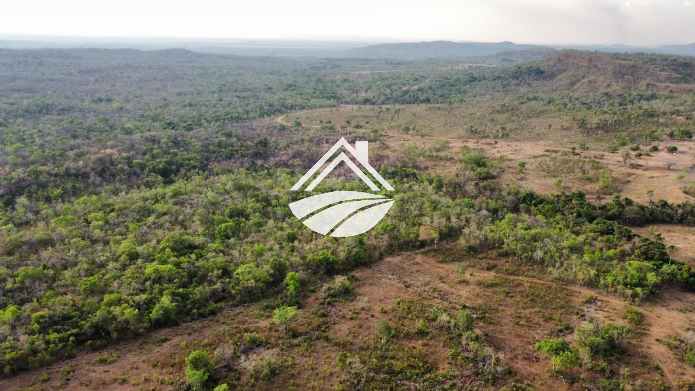 Fazenda, 1 m² - Foto 19