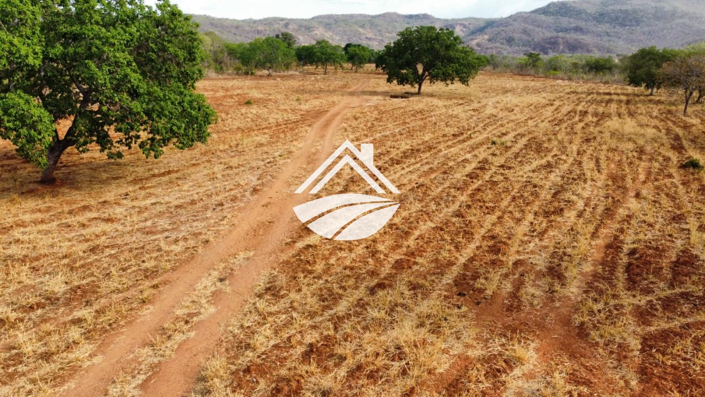 Fazenda, 1 m² - Foto 23