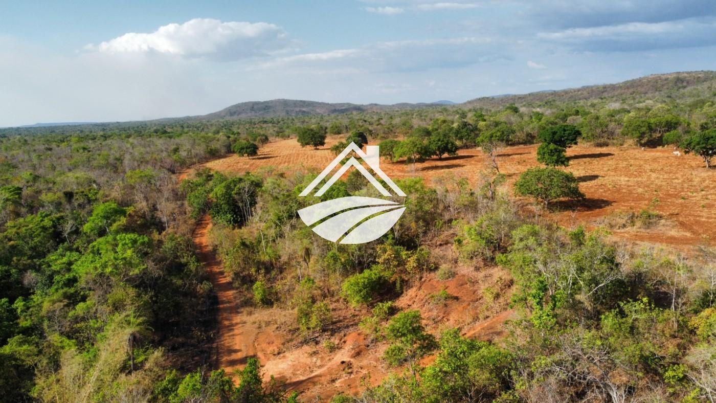 Fazenda, 1 m² - Foto 27