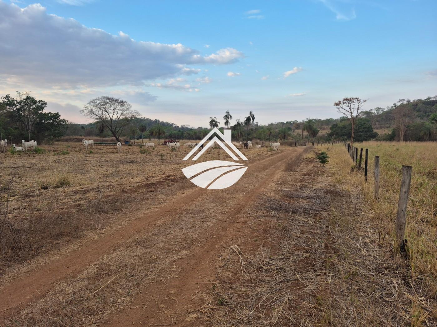 Fazenda, 1 m² - Foto 30