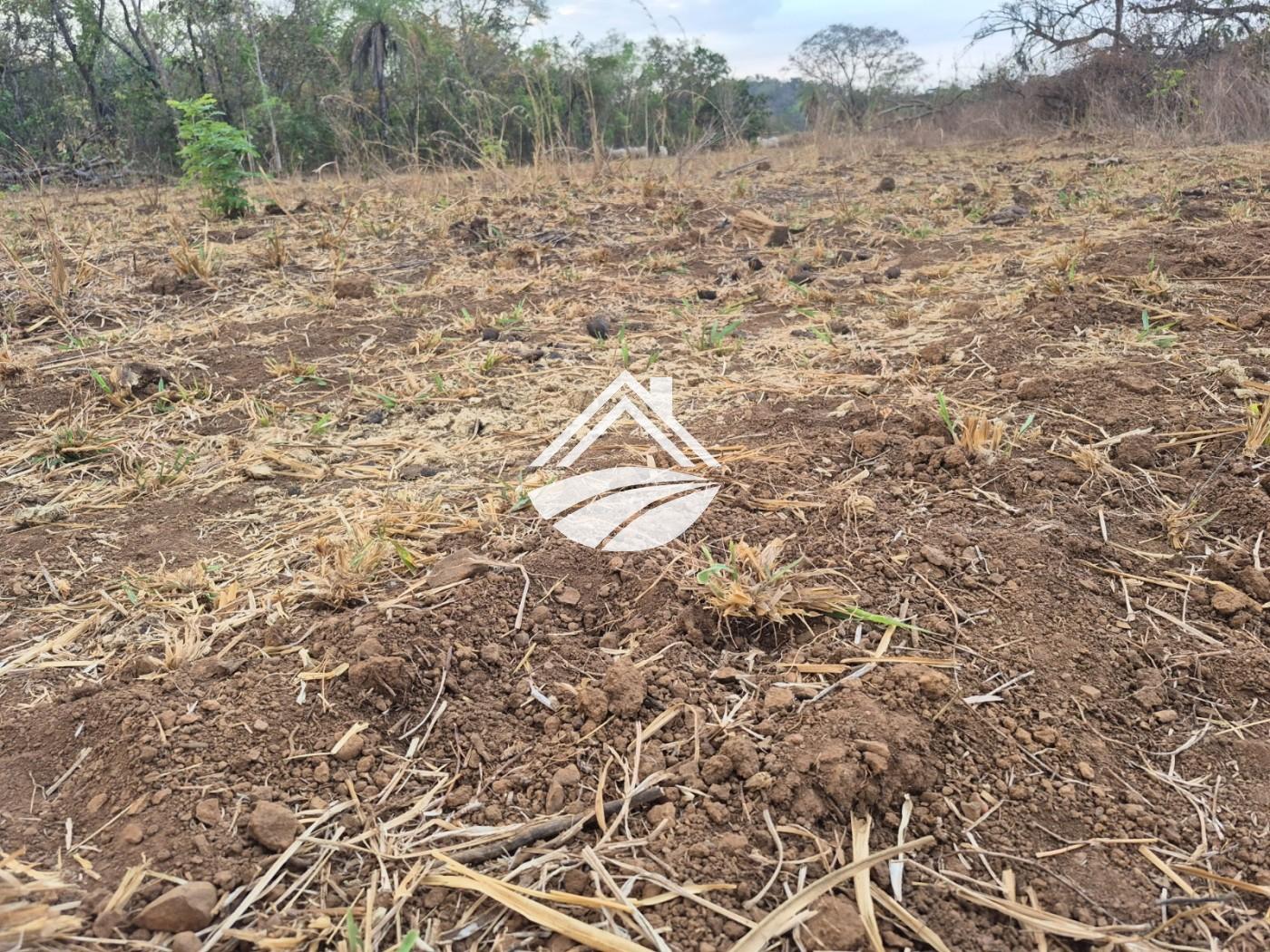 Fazenda, 1 m² - Foto 32