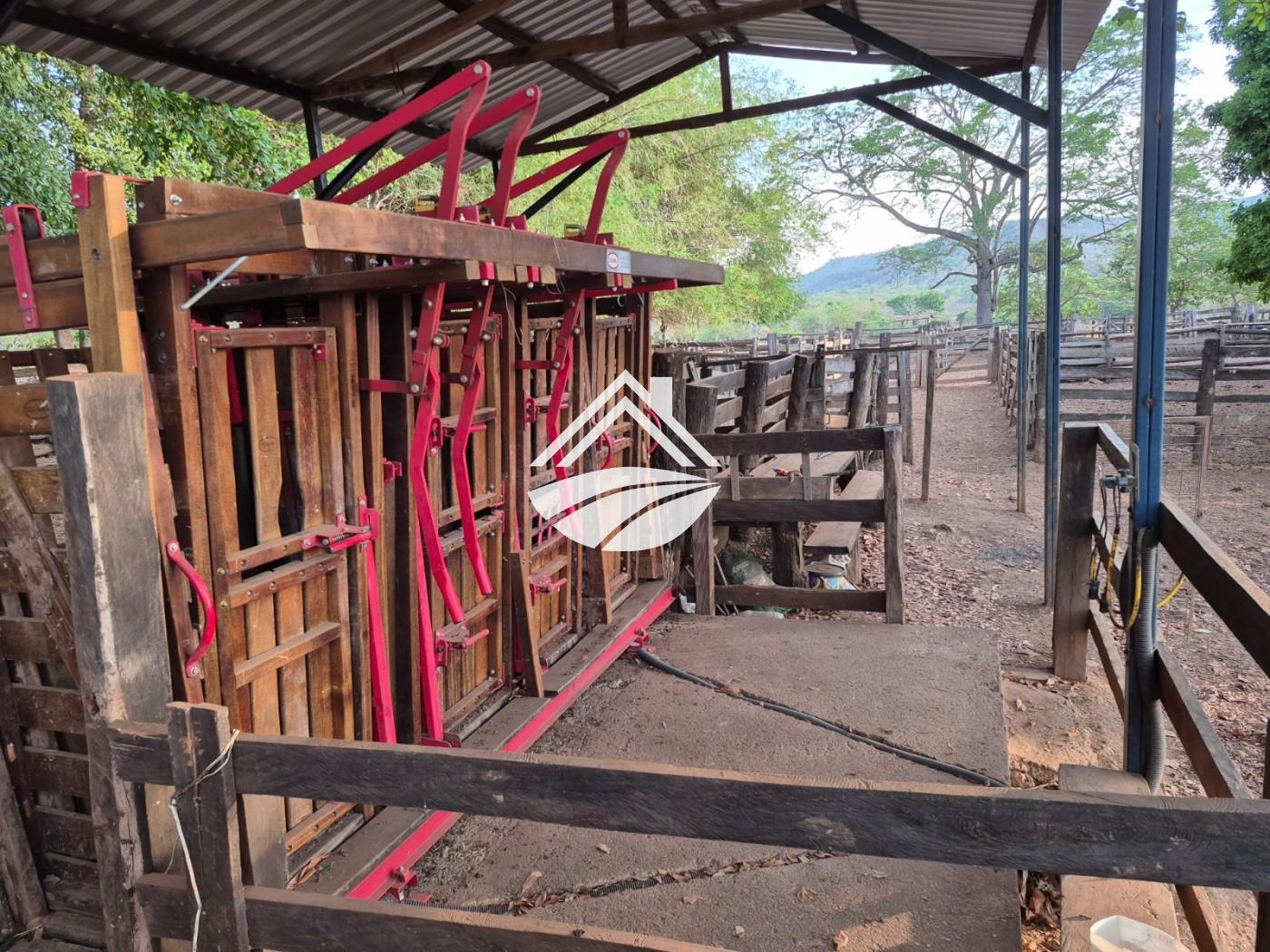 Fazenda, 1 m² - Foto 39