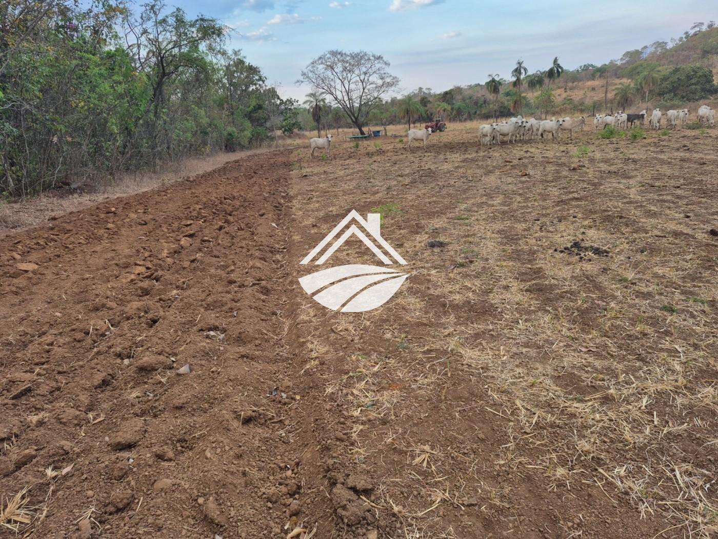 Fazenda, 1 m² - Foto 40