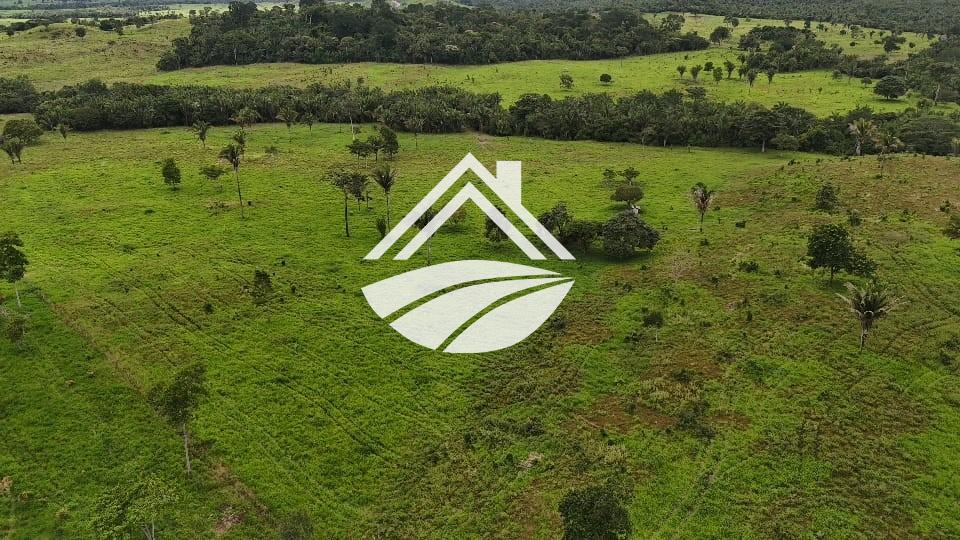 Fazenda, 1 m² - Foto 4