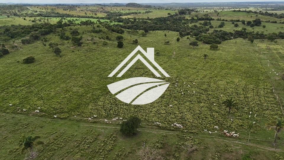 Fazenda, 1 m² - Foto 6