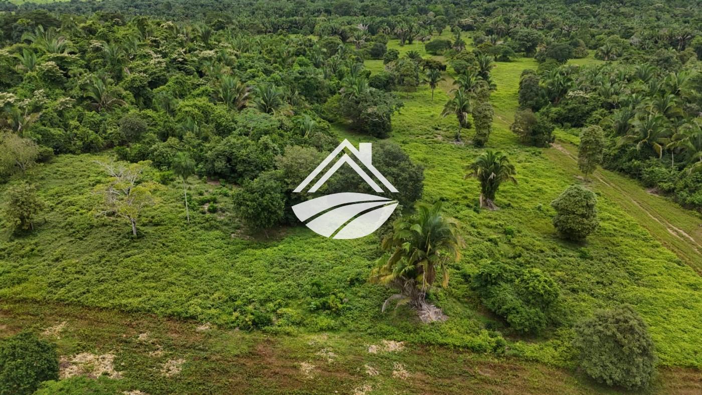 Fazenda, 1 m² - Foto 9