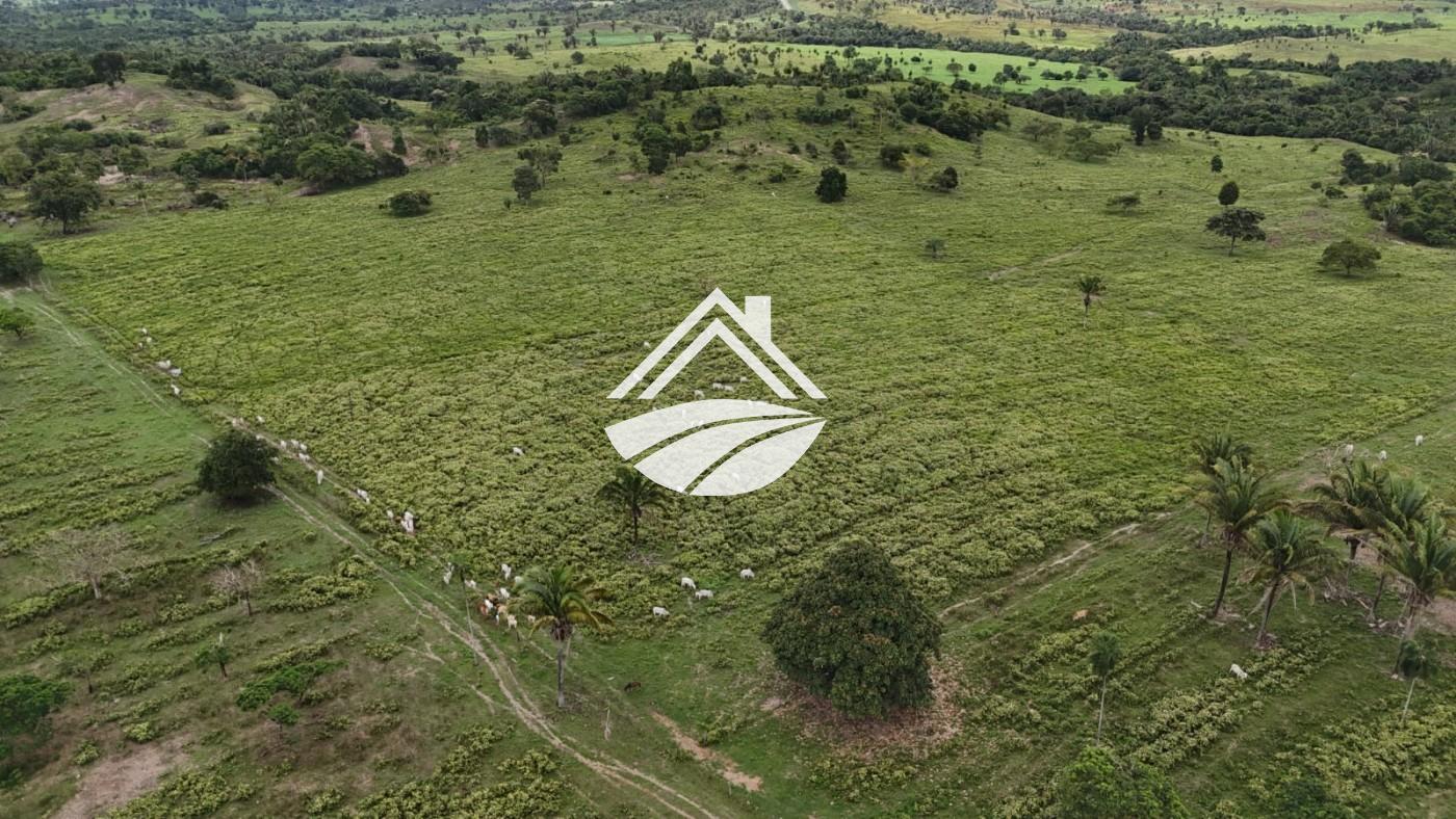 Fazenda, 1 m² - Foto 8