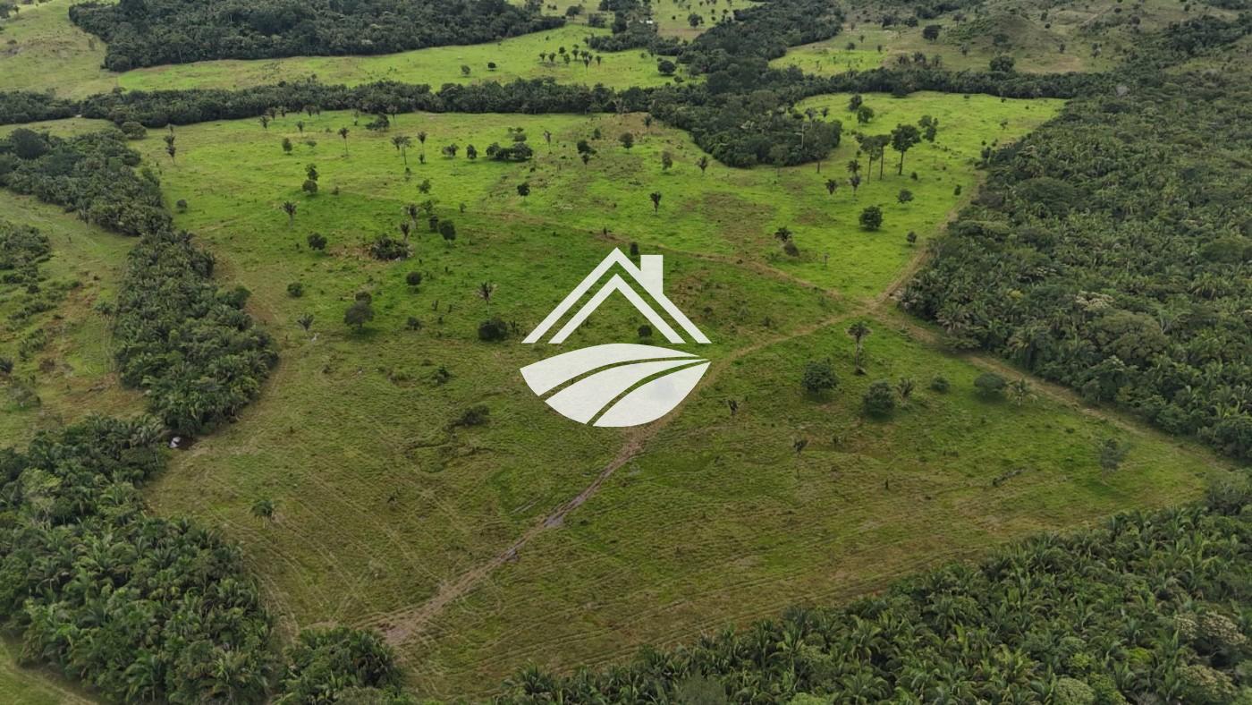 Fazenda, 1 m² - Foto 7