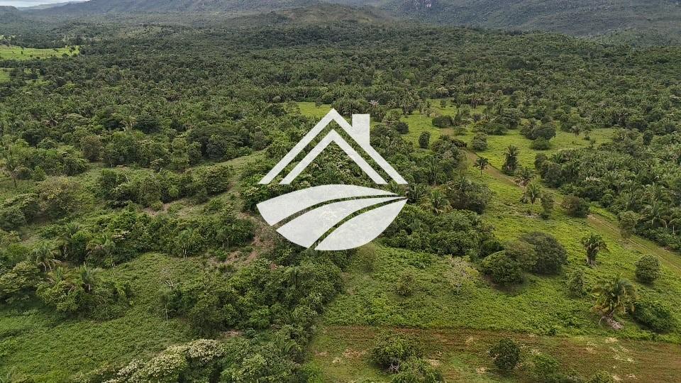 Fazenda, 1 m² - Foto 5