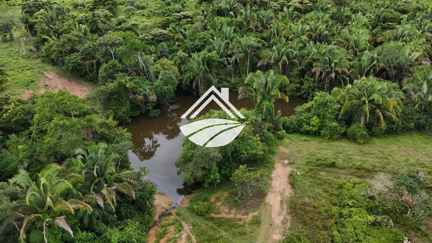 Fazenda, 1 m² - Foto 12