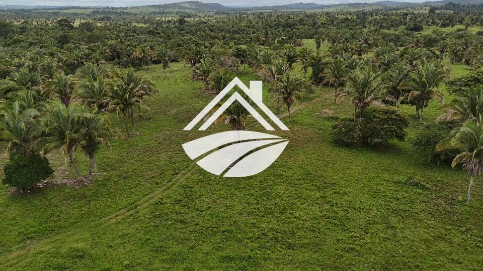 Fazenda, 1 m² - Foto 11