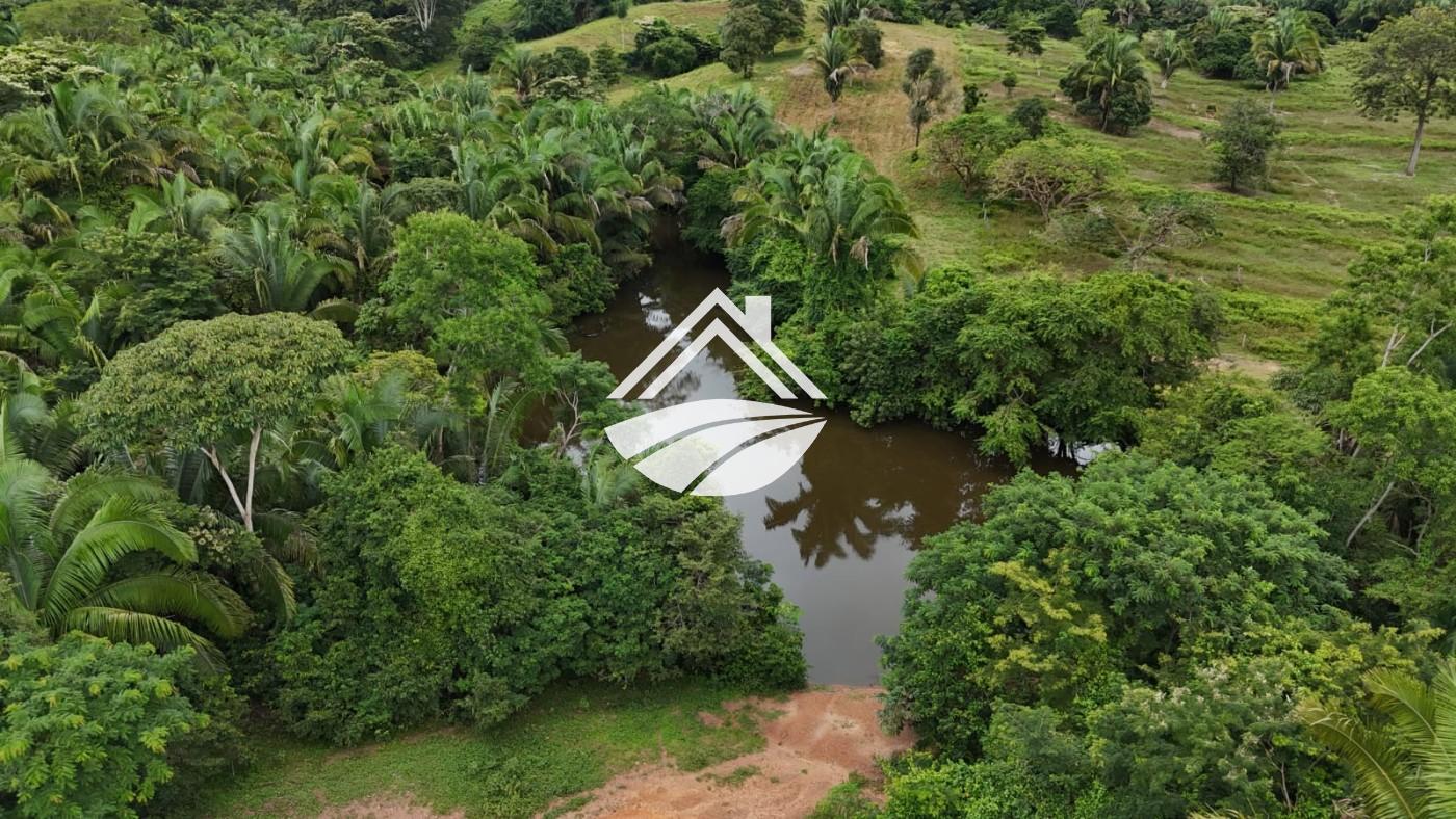 Fazenda, 1 m² - Foto 10