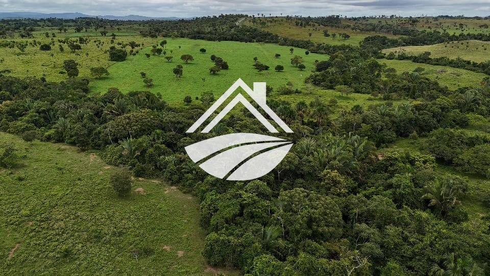 Fazenda, 1 m² - Foto 15