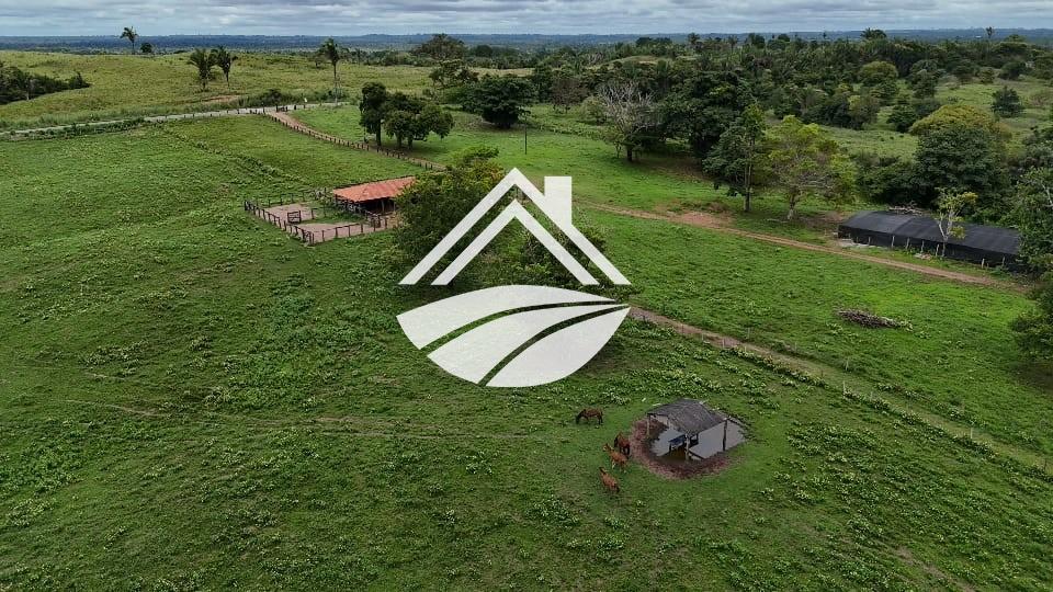 Fazenda, 1 m² - Foto 18