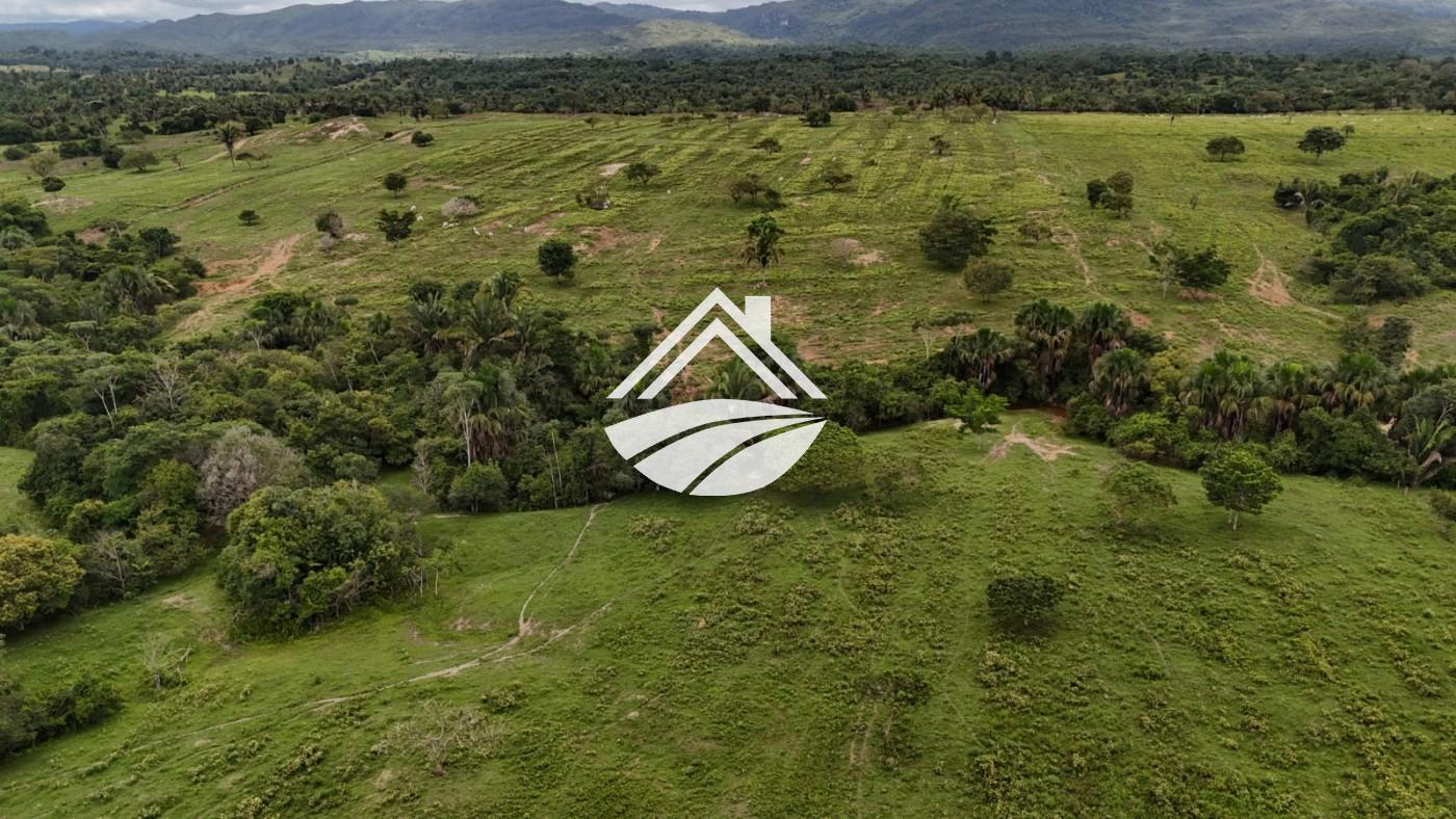 Fazenda, 1 m² - Foto 16