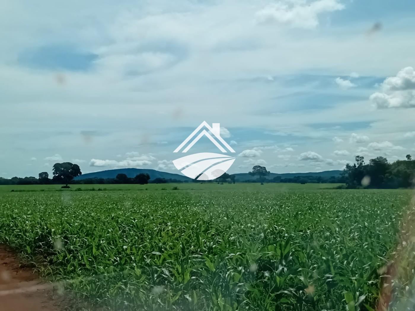 Fazenda, 1 m² - Foto 4