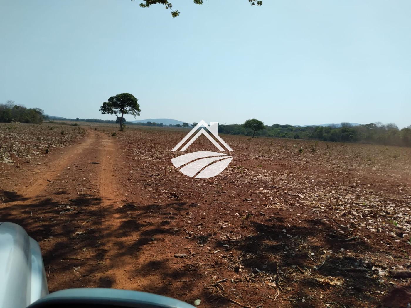 Fazenda, 1 m² - Foto 10