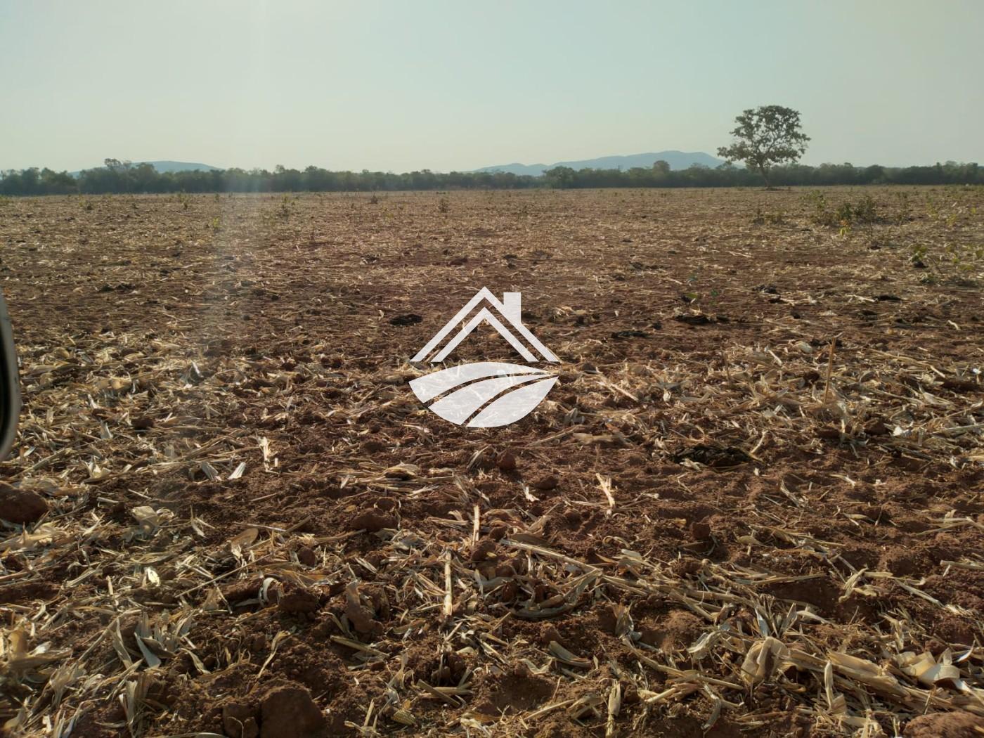 Fazenda, 1 m² - Foto 13