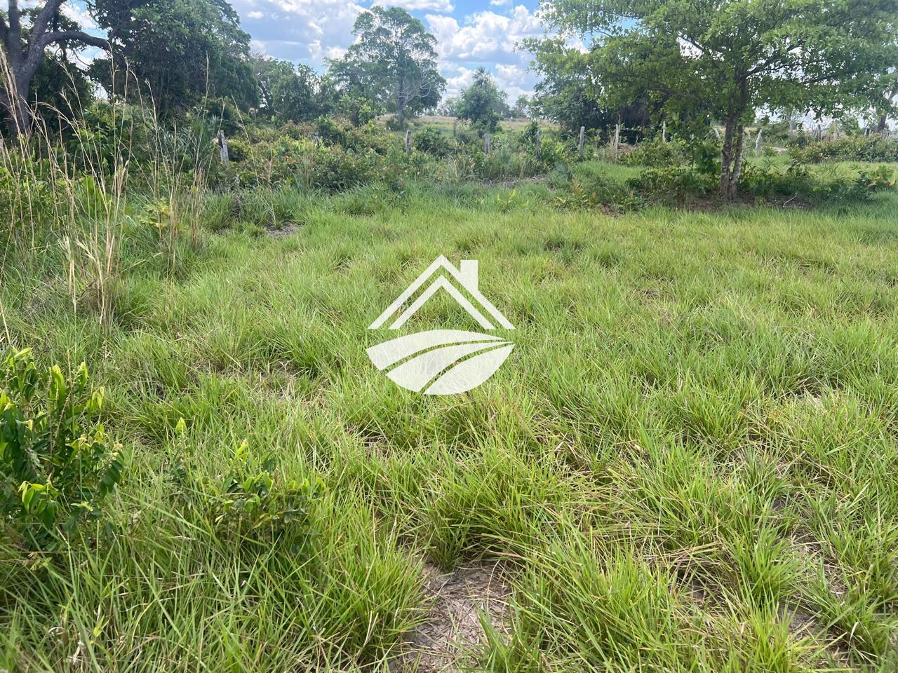 Fazenda, 65 hectares - Foto 2