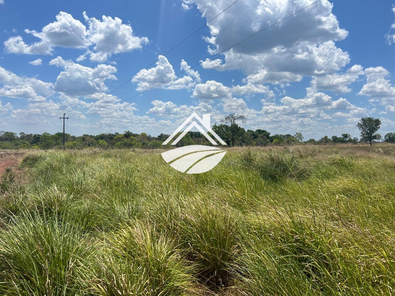 Fazenda, 65 hectares - Foto 4