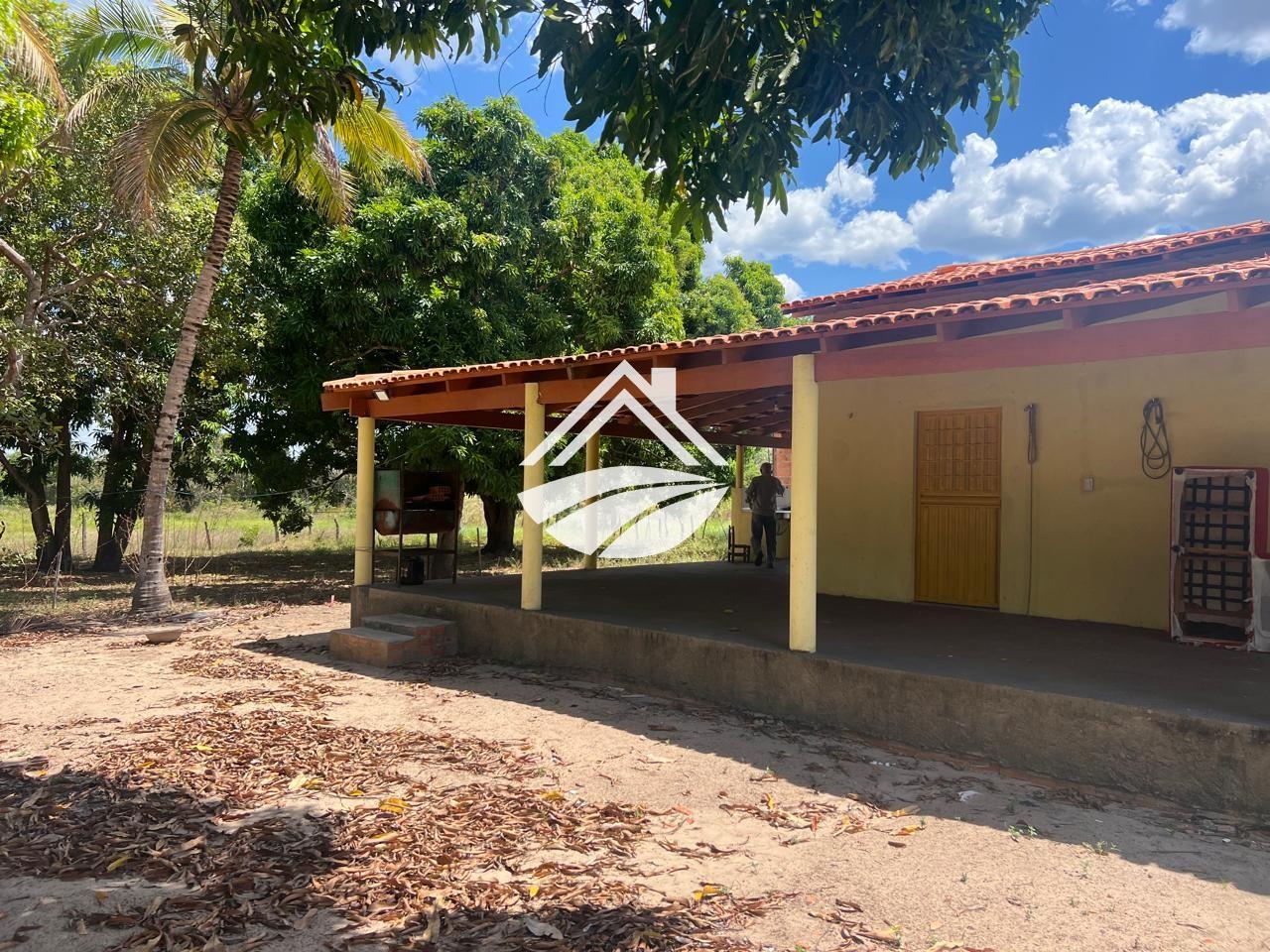 Fazenda, 65 hectares - Foto 3