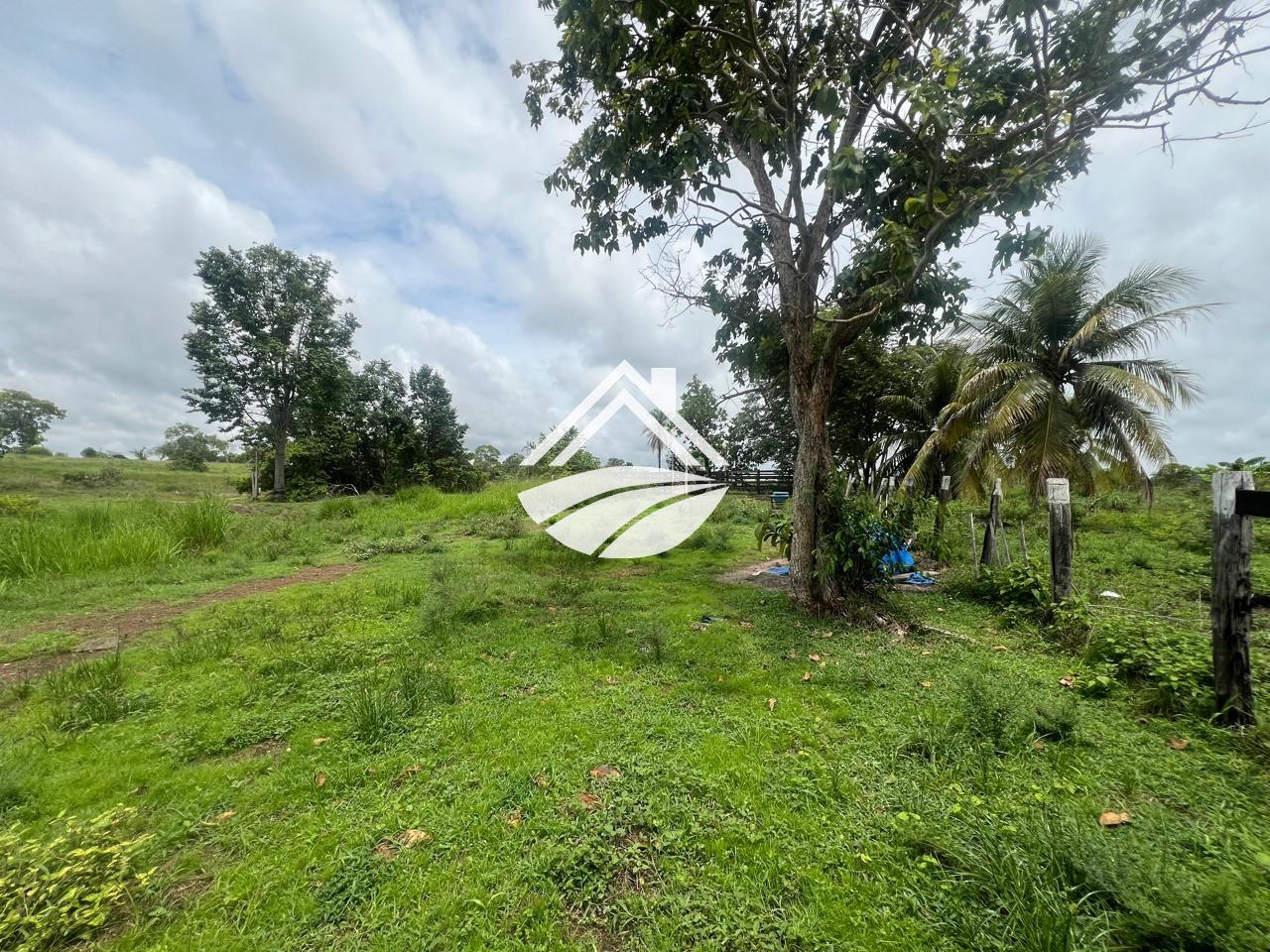 Fazenda, 65 hectares - Foto 8