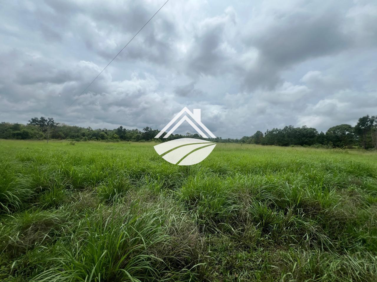 Fazenda, 65 hectares - Foto 11