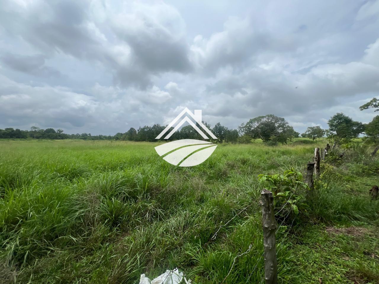 Fazenda, 65 hectares - Foto 10