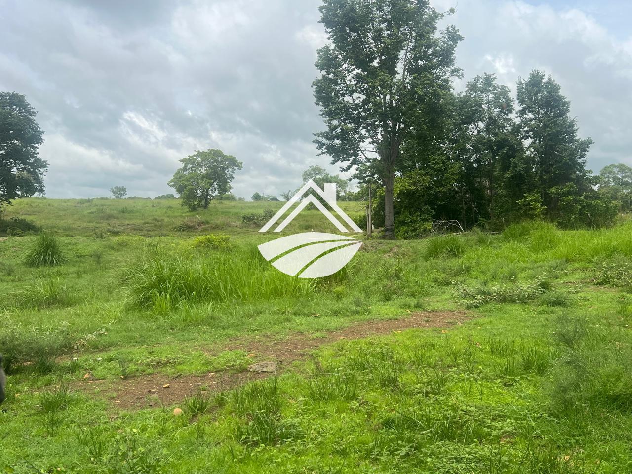 Fazenda, 65 hectares - Foto 7