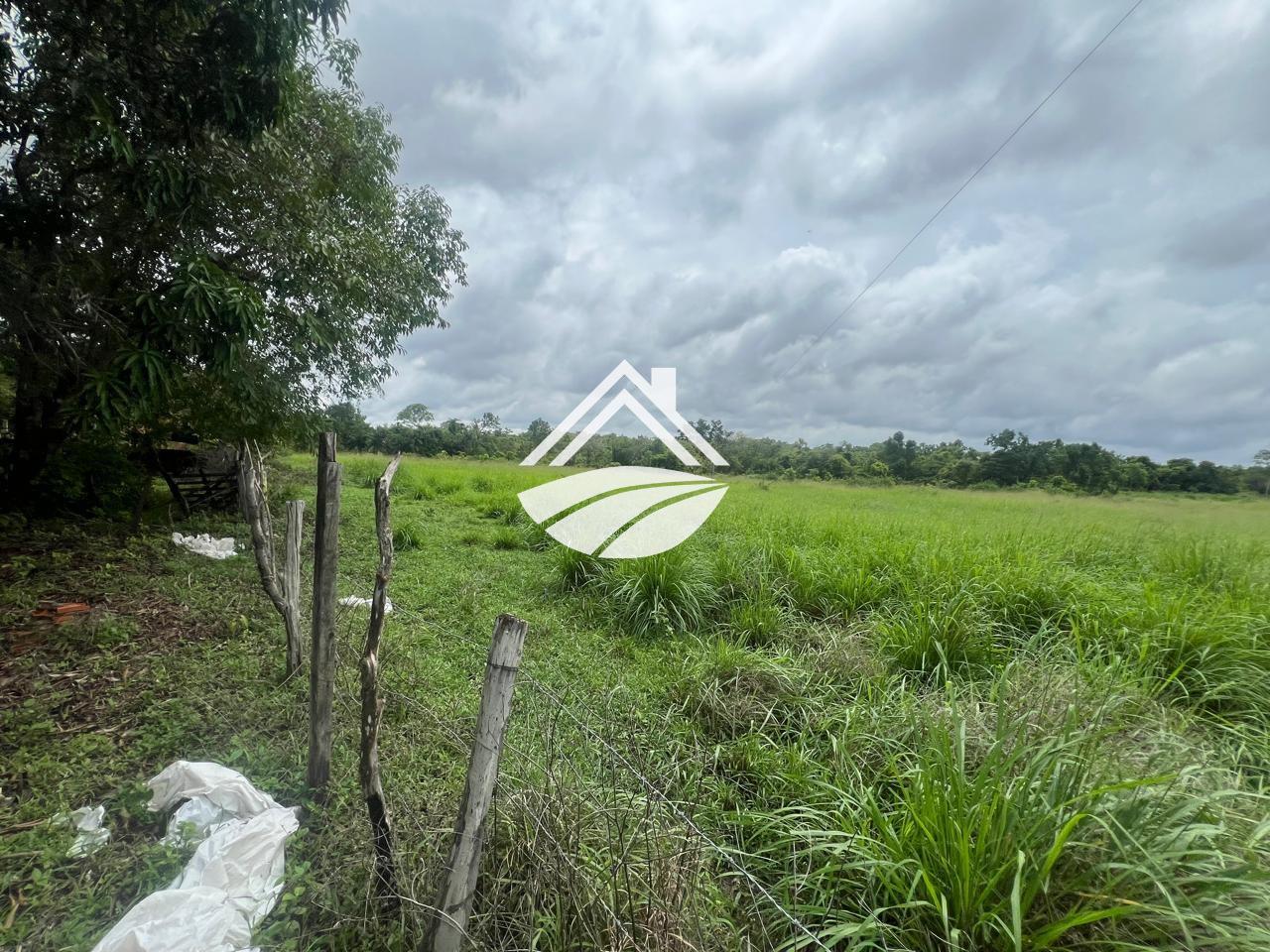 Fazenda, 65 hectares - Foto 12