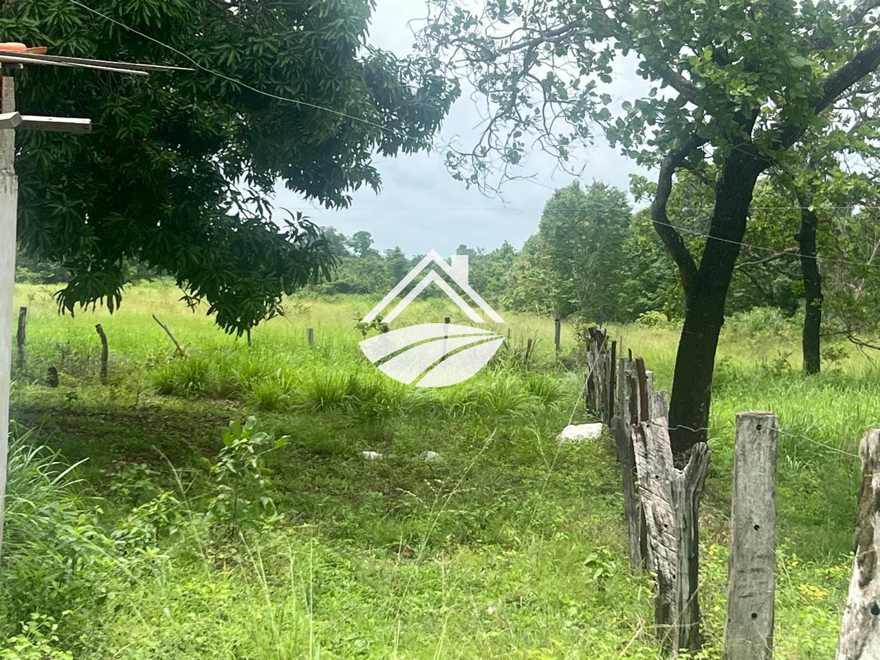 Fazenda, 65 hectares - Foto 15