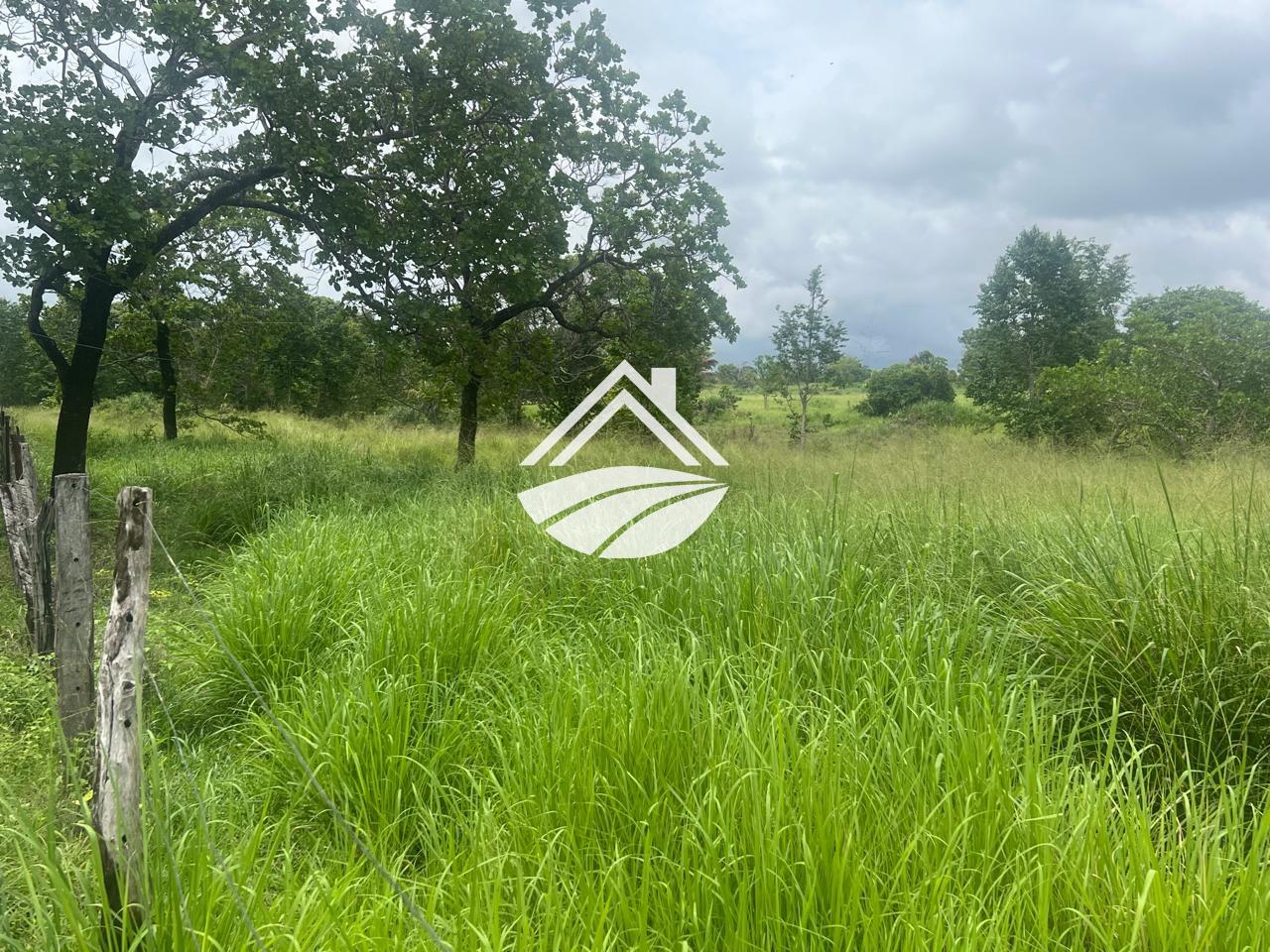 Fazenda, 65 hectares - Foto 1