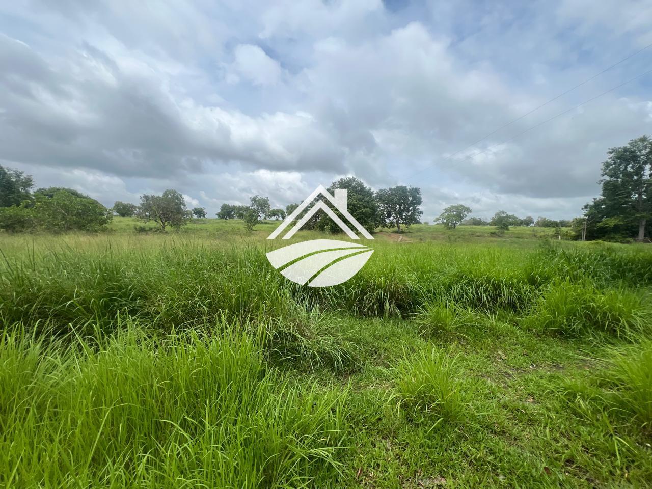 Fazenda, 65 hectares - Foto 17